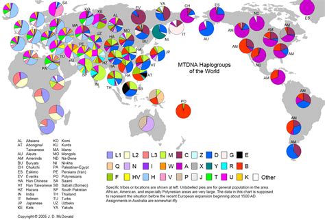 maternal haplogroup